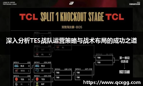 深入分析TES战队运营策略与战术布局的成功之道