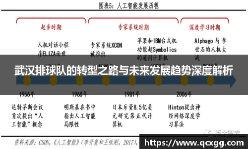 武汉排球队的转型之路与未来发展趋势深度解析